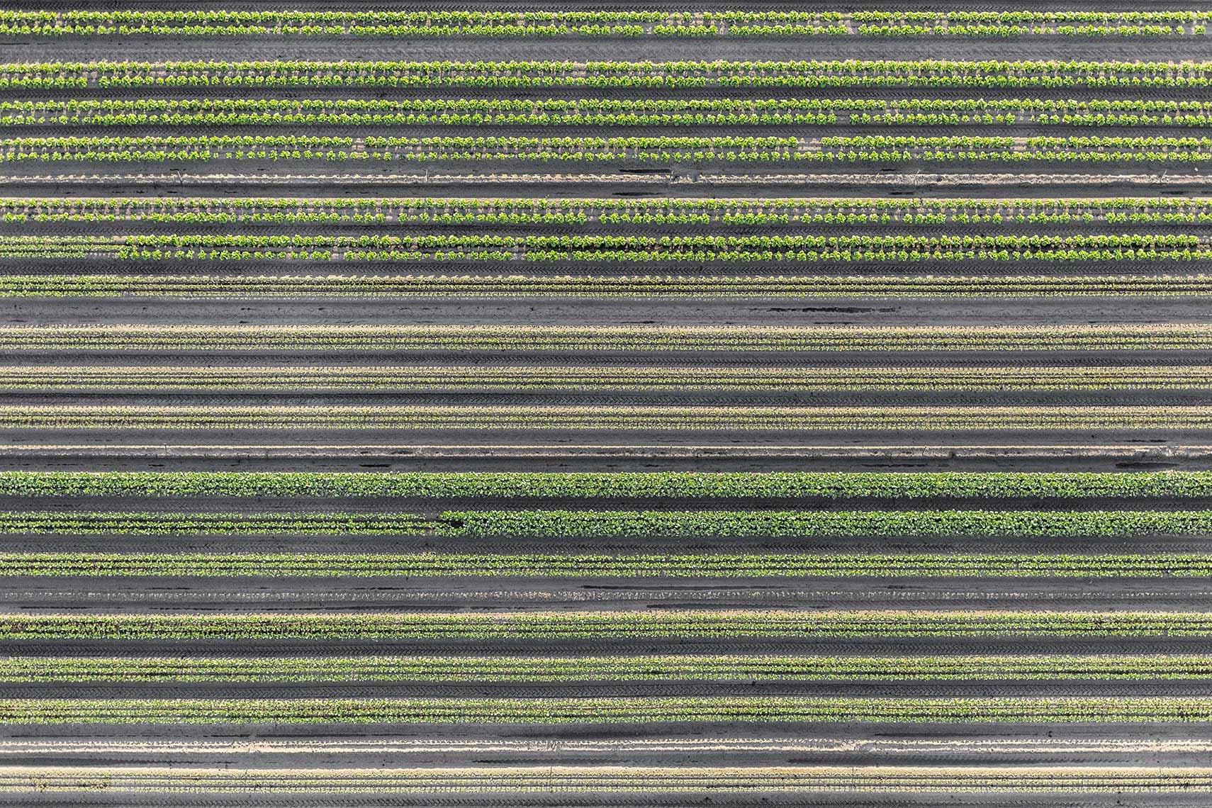 Aerial Landscape Agriculture
