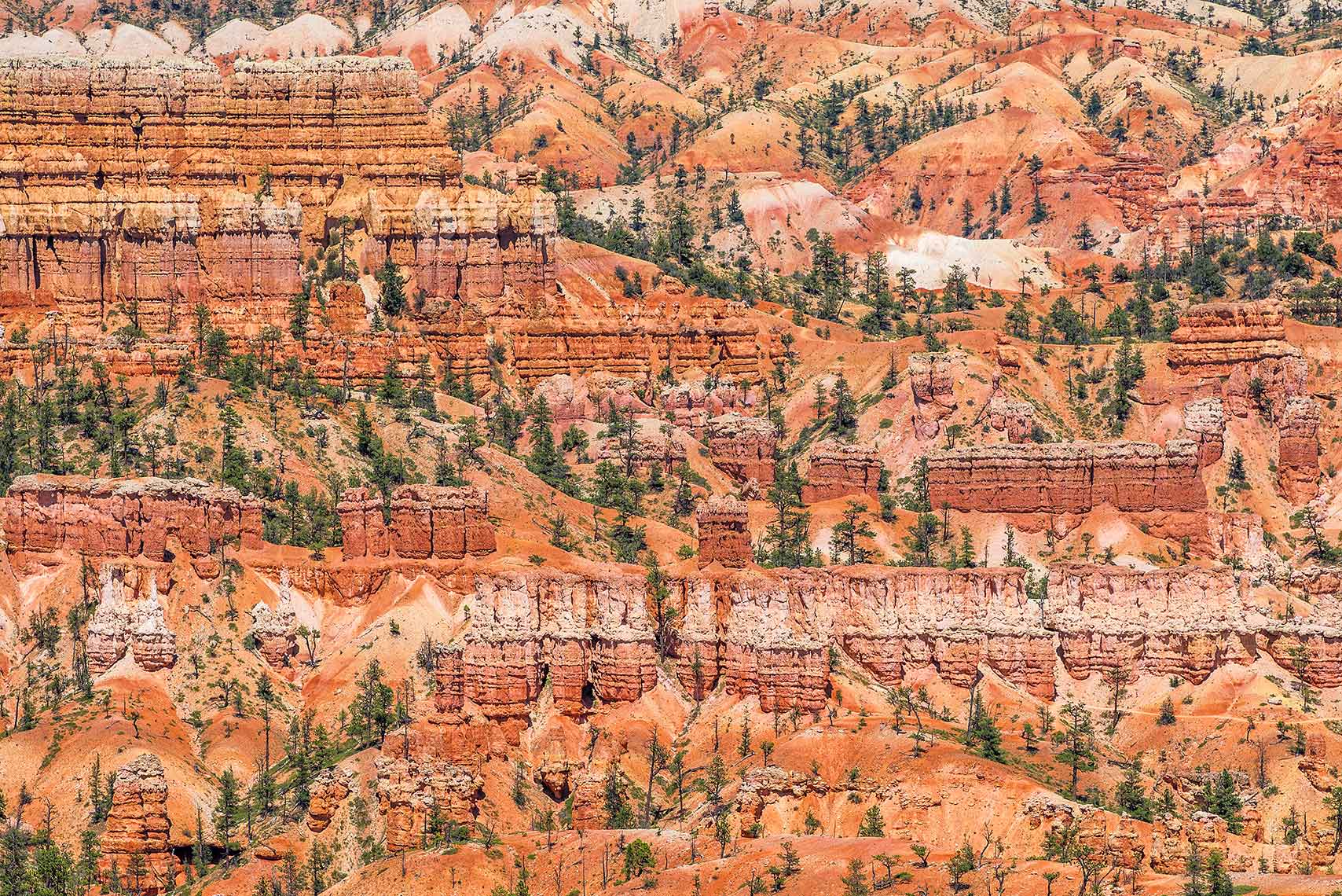 Zoe Wetherall / Aerial Landscape / Bryce Canyon