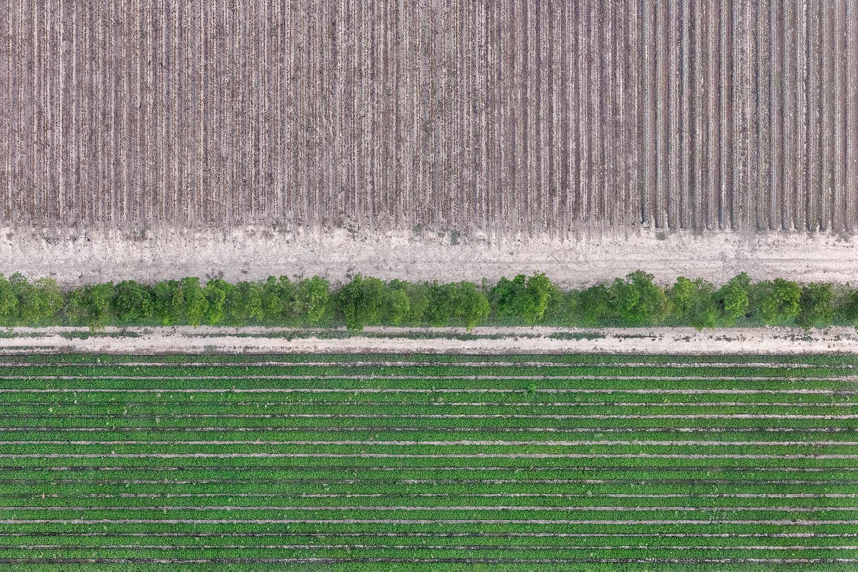 Crop Lines