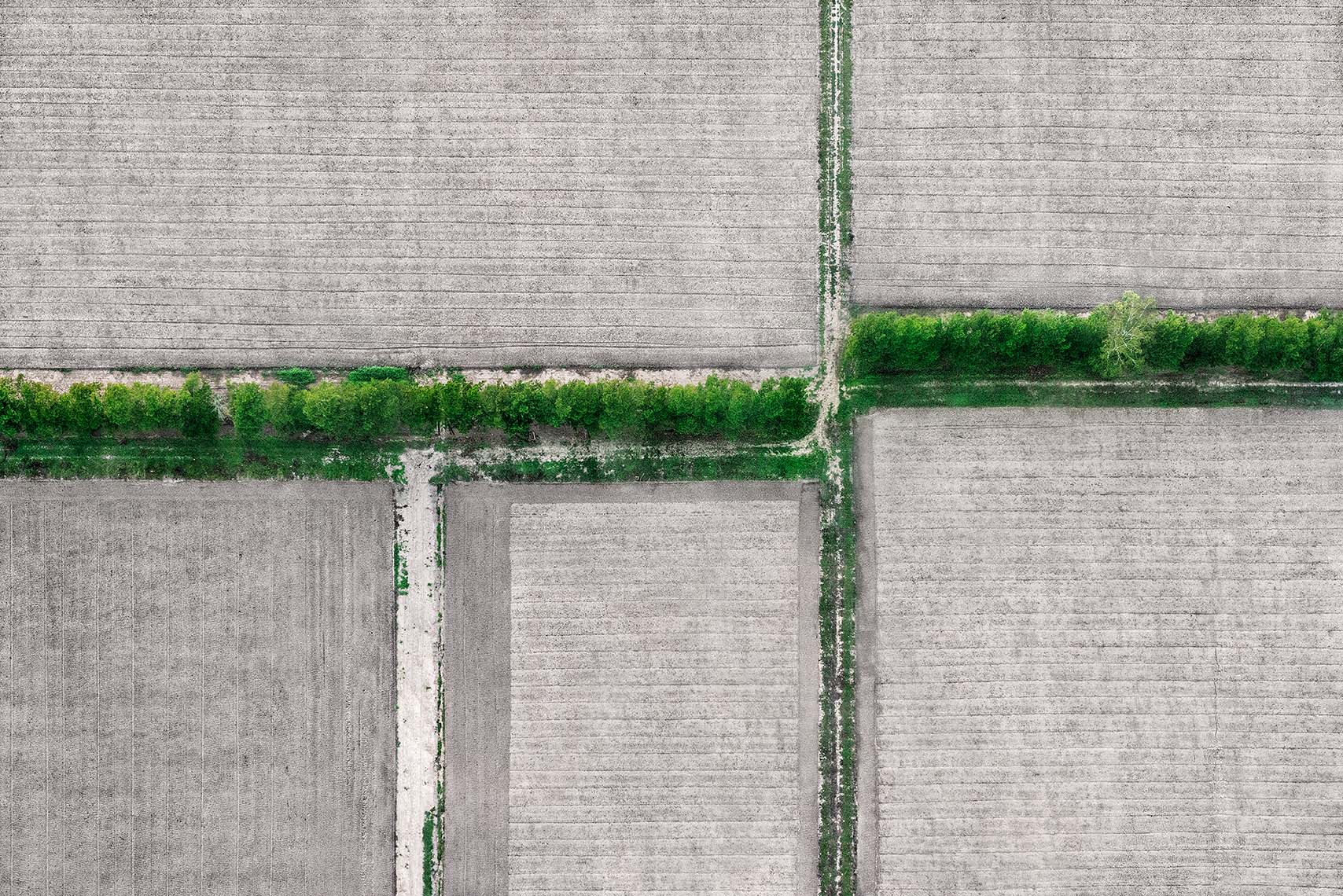 Zoe Wetherall / Aerial Landscape / Divided Field