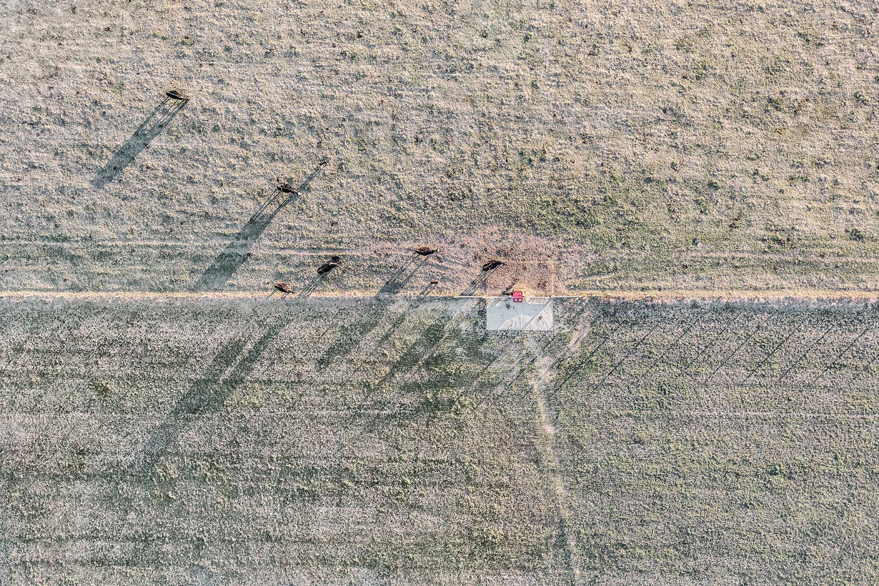 Zoe Wetherall / Aerial Landscape / Farmland Shadows
