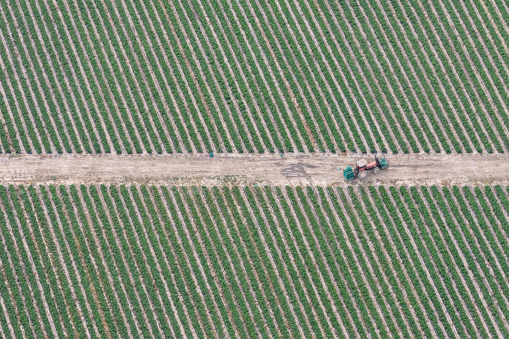 Zoe Wetherall / Aerial Landscape / Tractor